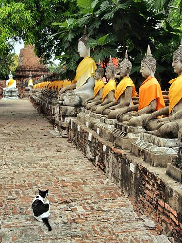 f:id:tetsujin96:20141028003033j:plain