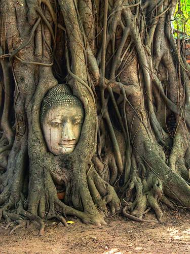 f:id:tetsujin96:20141028003049j:plain