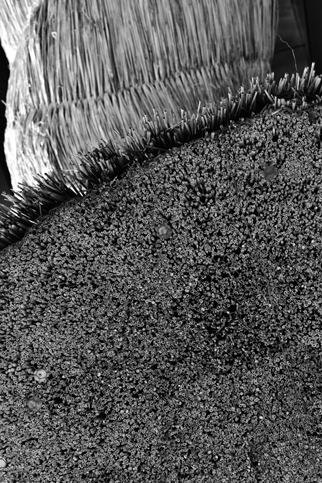 f:id:tetsujin96:20161216160512j:plain