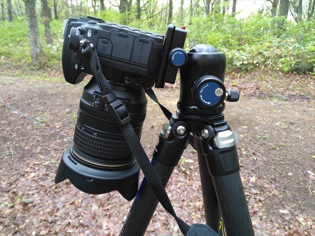 leofoto ls323c 三脚 ＋ Sirui 自由雲台 Leofoto（レオフォト） レンジャーシリーズ 3段カーボン三脚 LS-323C