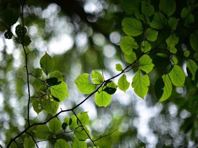 f:id:tetsujin96:20190820213446j:plain