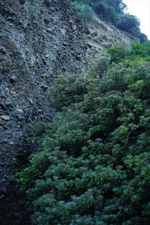 f:id:tetsujin96:20200815220439j:plain