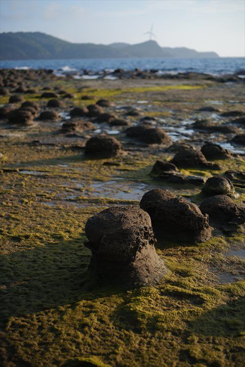 f:id:tetsujin96:20200815220515j:plain