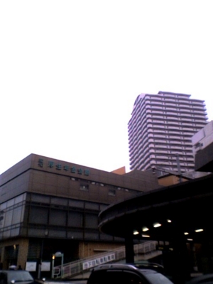 20081005165254