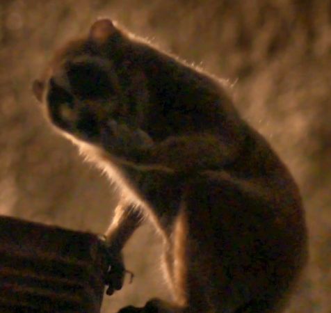 f:id:tetsupom:20181014170011j:plain f:id:tetsupom:20181014170011j:plain
