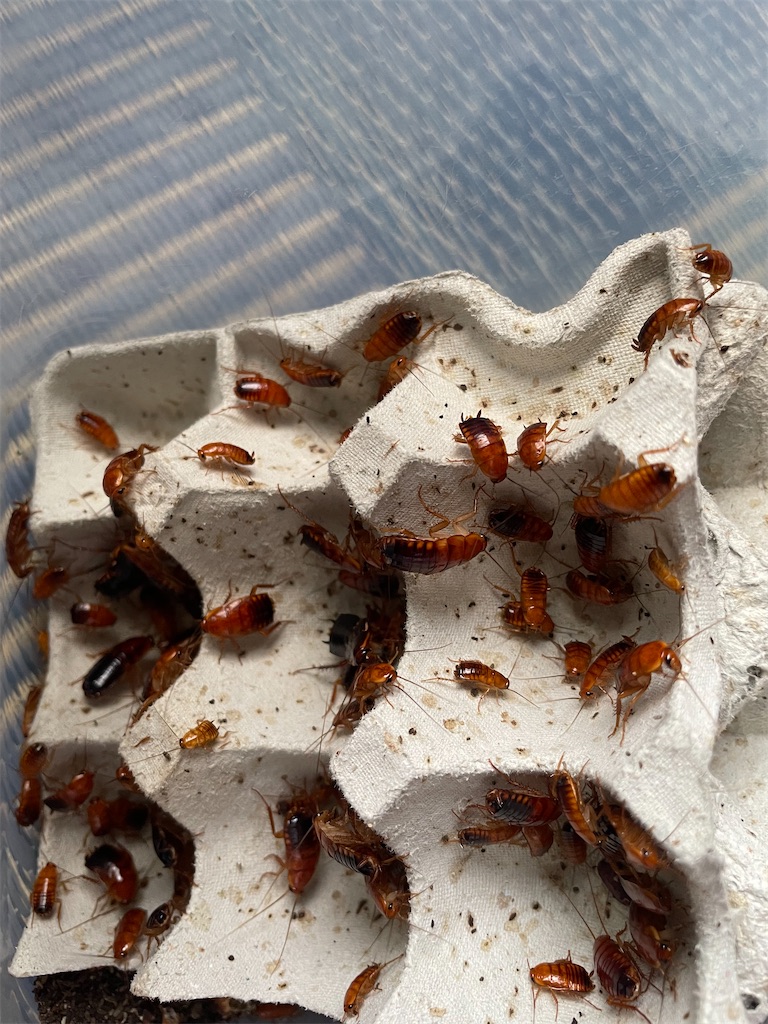 f:id:tetsuro5711:20230708164515j:image