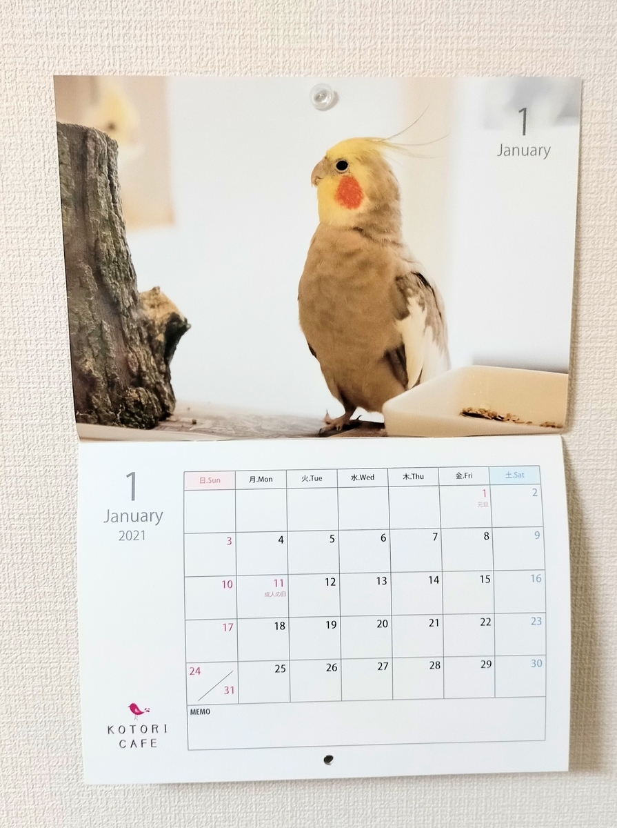 f:id:tetsutako3:20210102090423j:plain