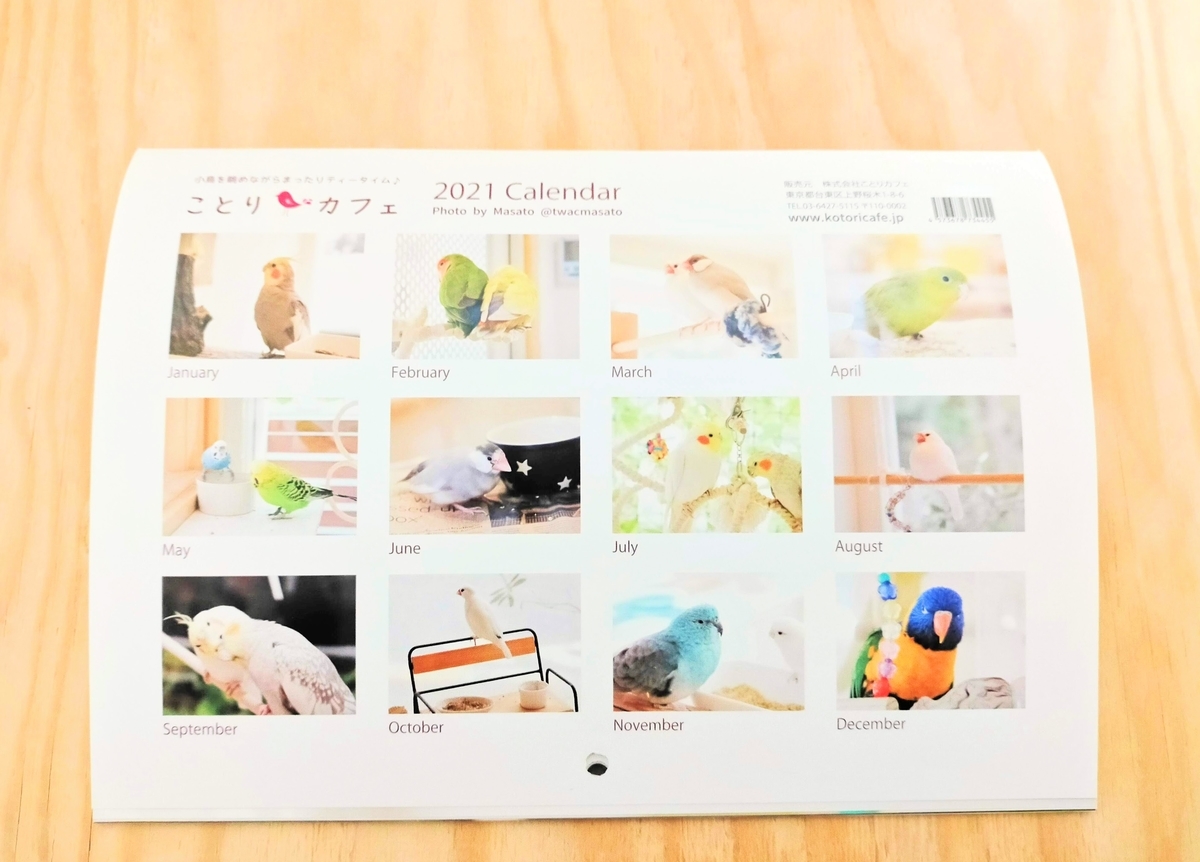 f:id:tetsutako3:20210102090544j:plain