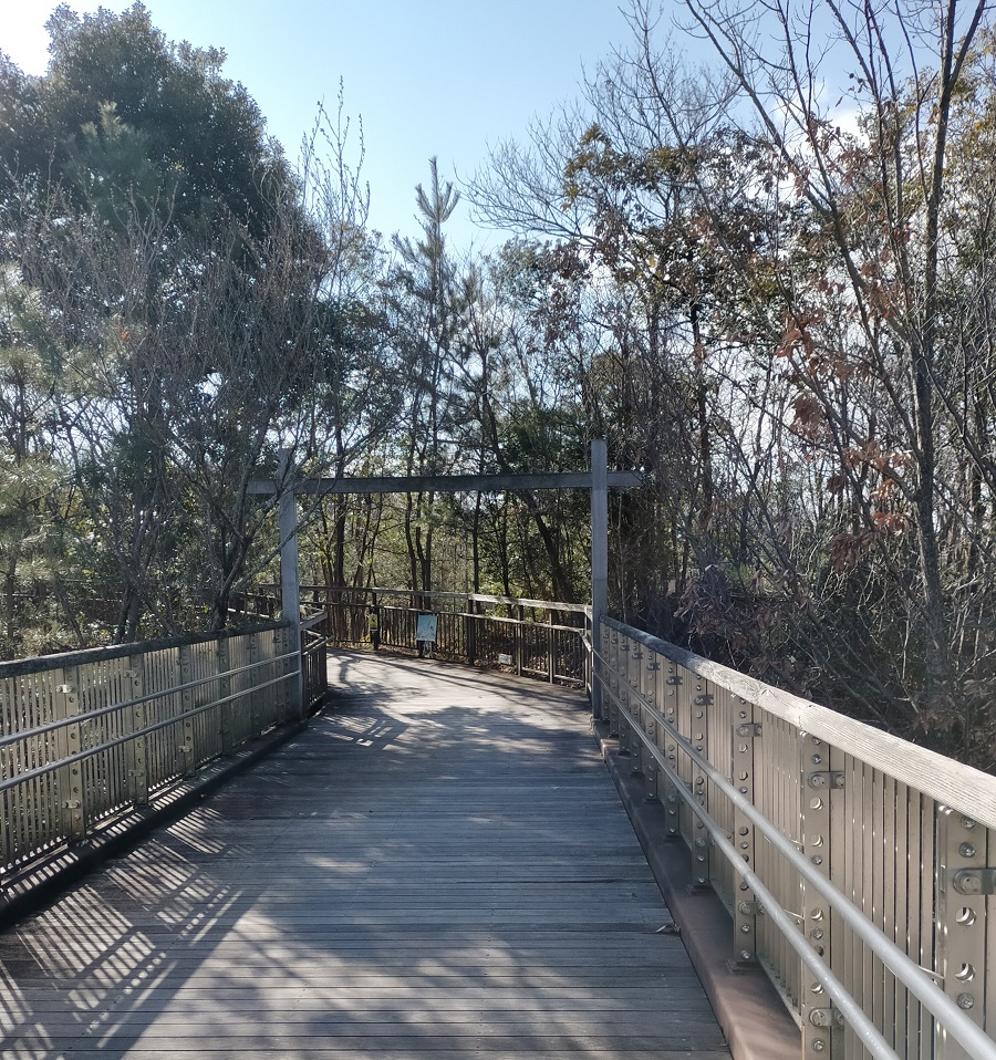 f:id:tetsutako3:20210226162828j:plain