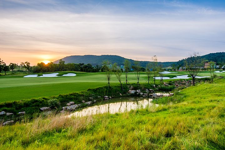 f:id:tetsute:20200519170832j:plain f:id:tetsute:20200519170832j:plain