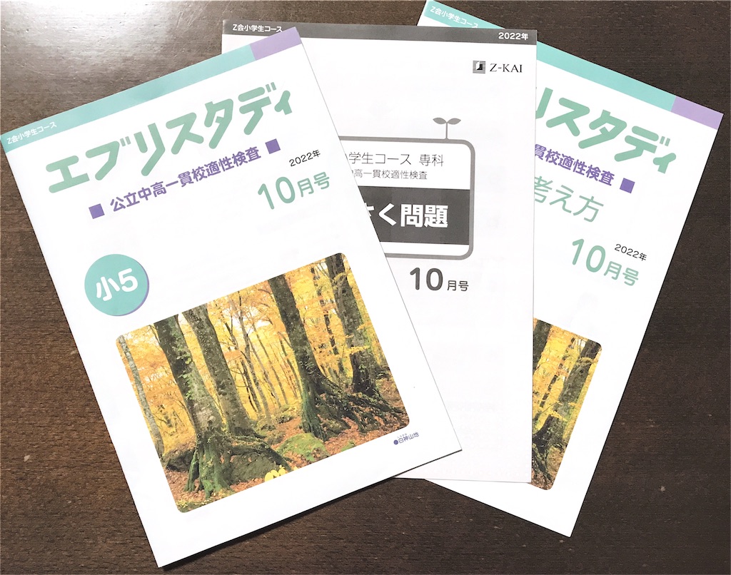 ZKAI中高一貫　中学受験　小学5年生　適性検査対策　作文1年分 ZKAI中高一貫 中学受験 小学5年生 適性検査対策 作文1年分 Z会の通信