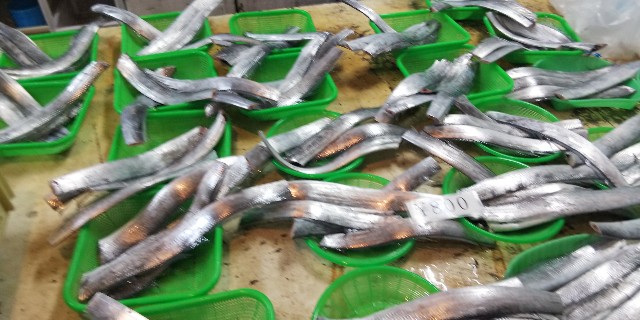 f:id:tetsuuma:20181208050841j:image f:id:tetsuuma:20181208050841j:image