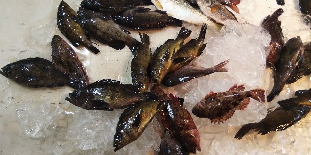 f:id:tetsuuma:20181208050913j:image f:id:tetsuuma:20181208050913j:image