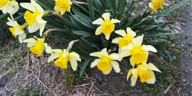 f:id:tetsuuma:20190324154520j:image