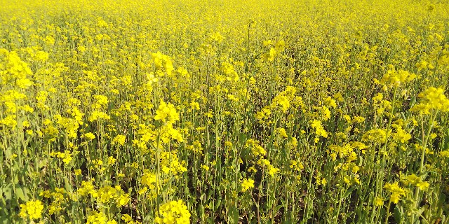 f:id:tetsuuma:20190326174630j:image