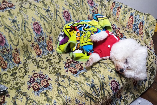 f:id:tetsuuma:20190328015525j:image