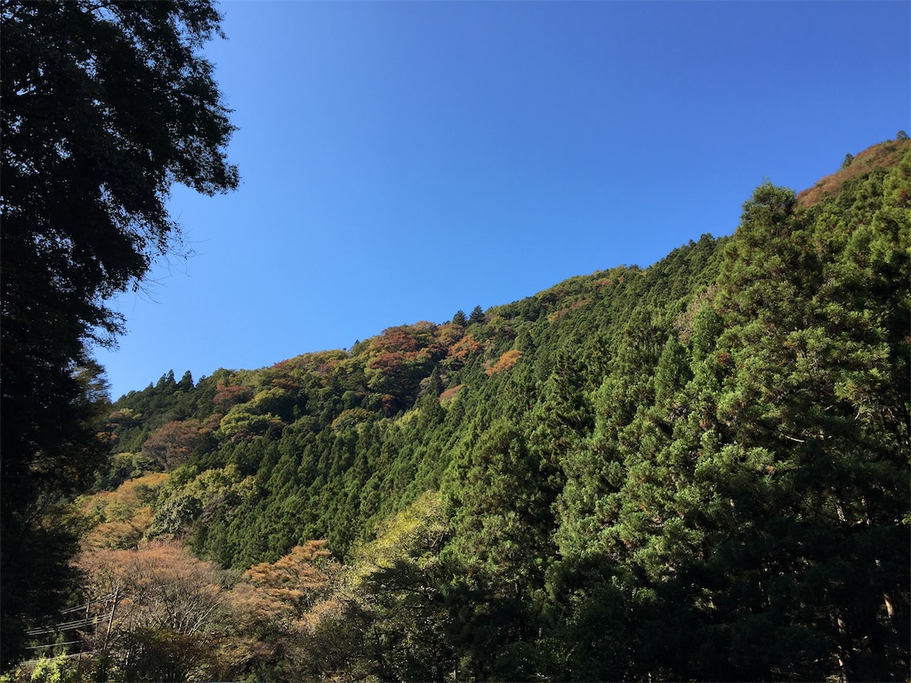 f:id:tetsuuma:20191111030523j:image f:id:tetsuuma:20191111030523j:image