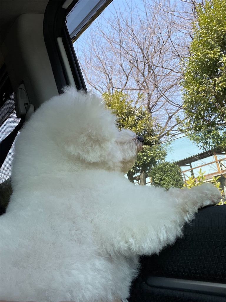 f:id:tetsuuma:20220306060609j:image