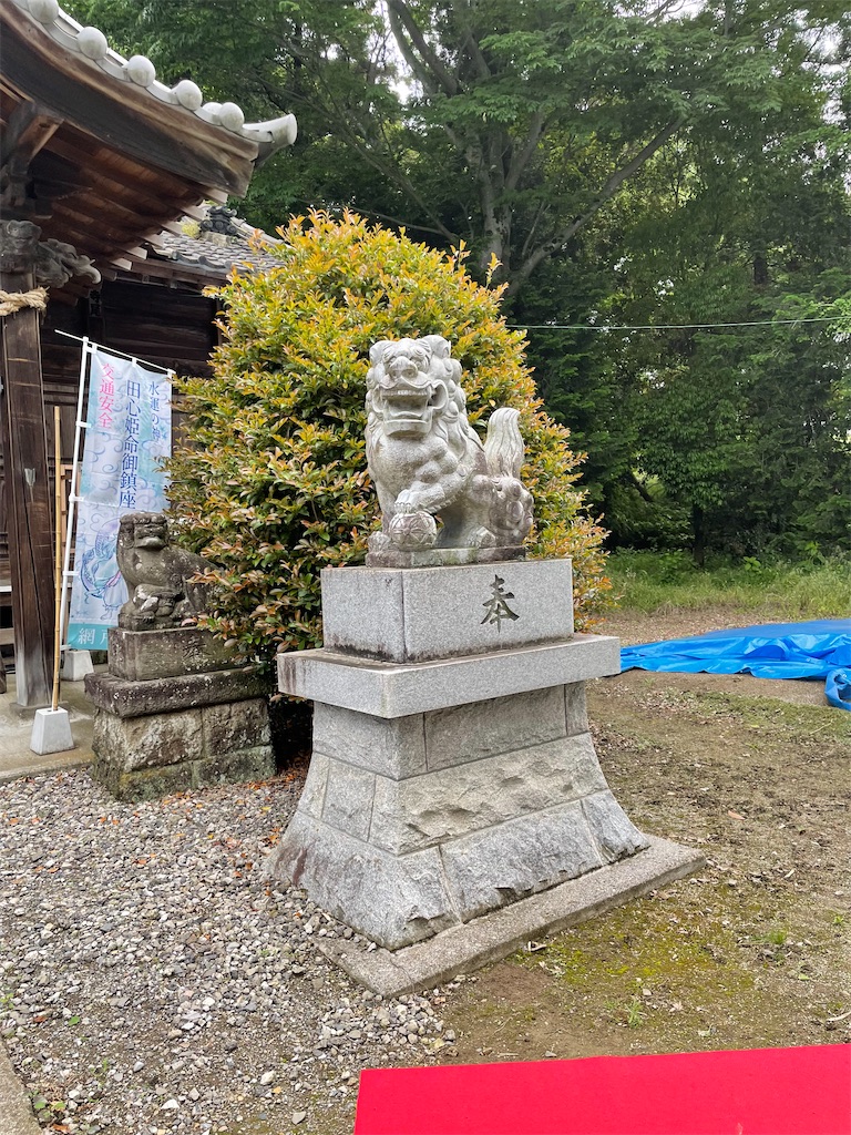 f:id:tetsuuma:20220526025930j:image