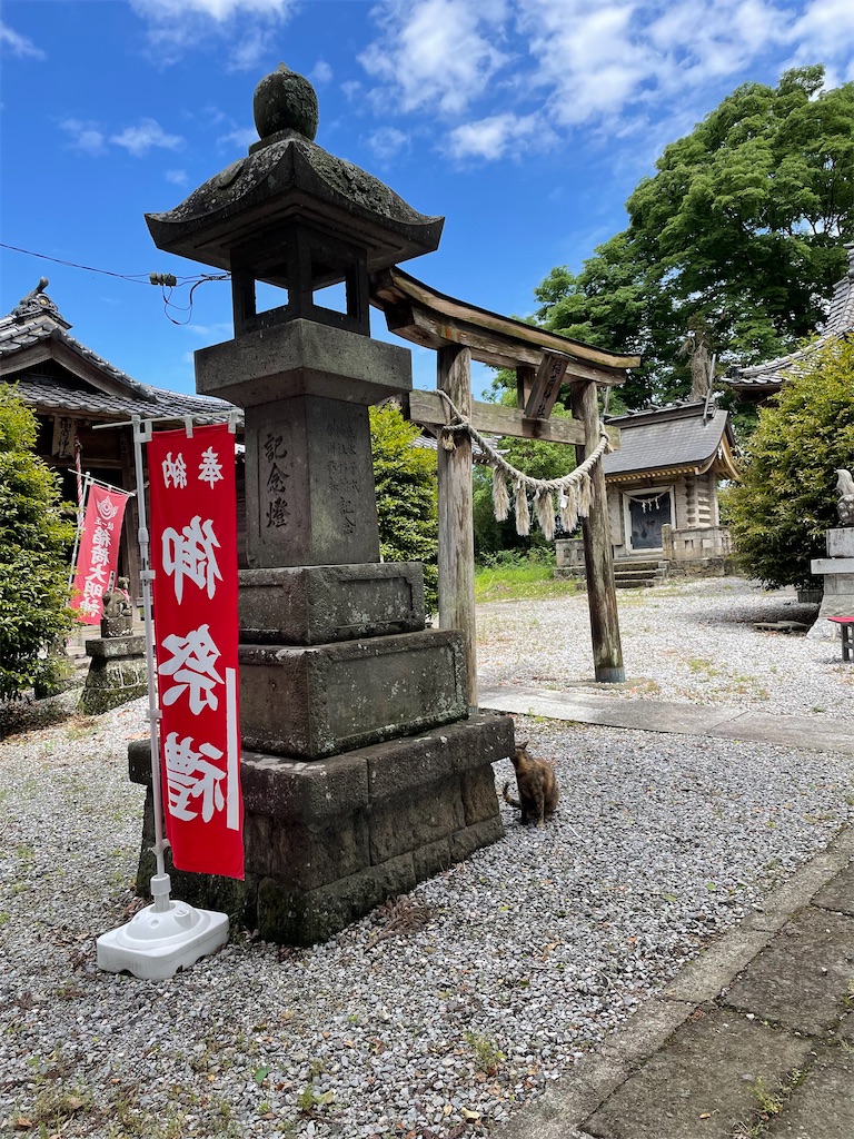 f:id:tetsuuma:20220526030023j:image