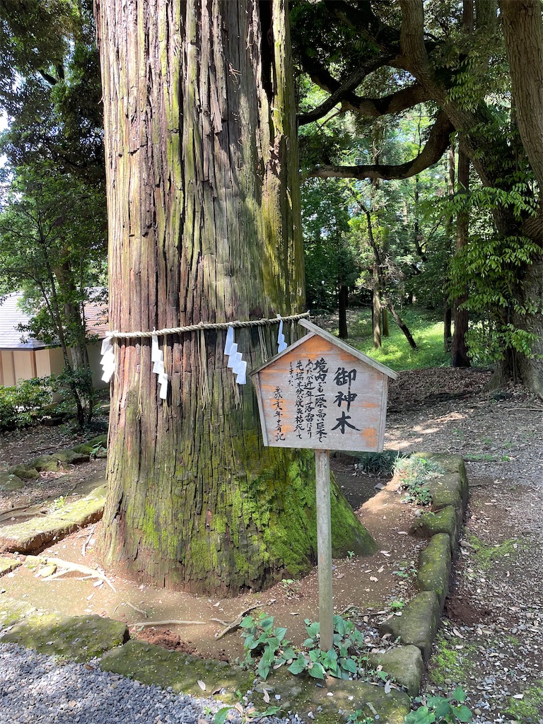 f:id:tetsuuma:20220529034108j:image