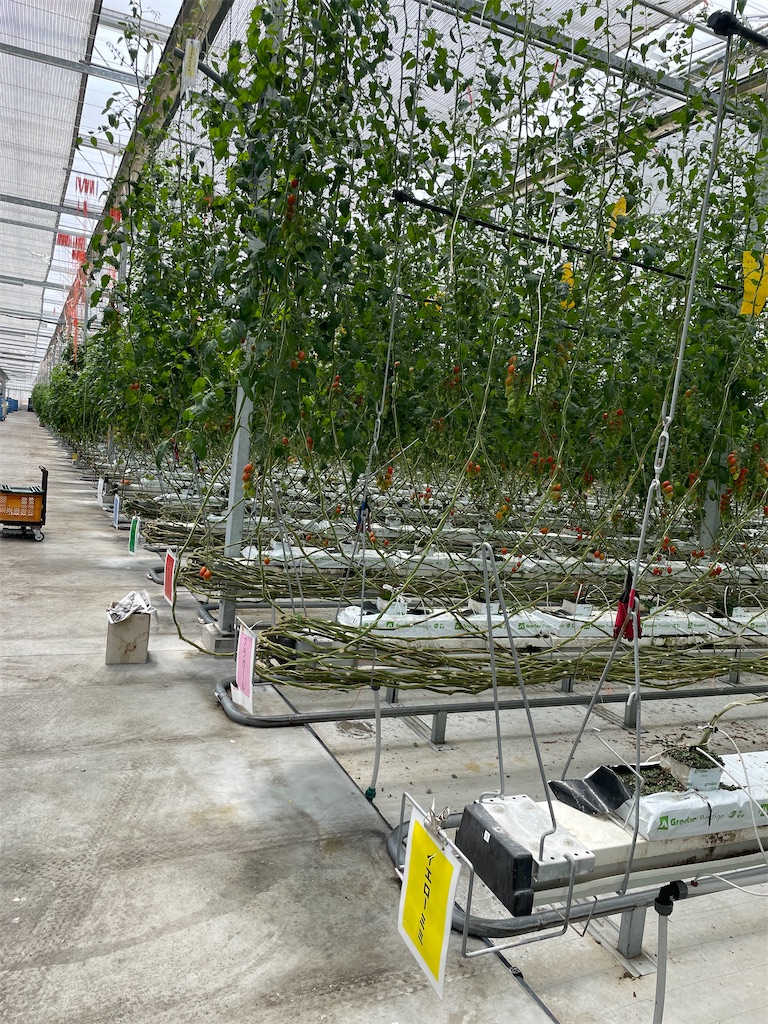 f:id:tetsuuma:20220612172337j:image