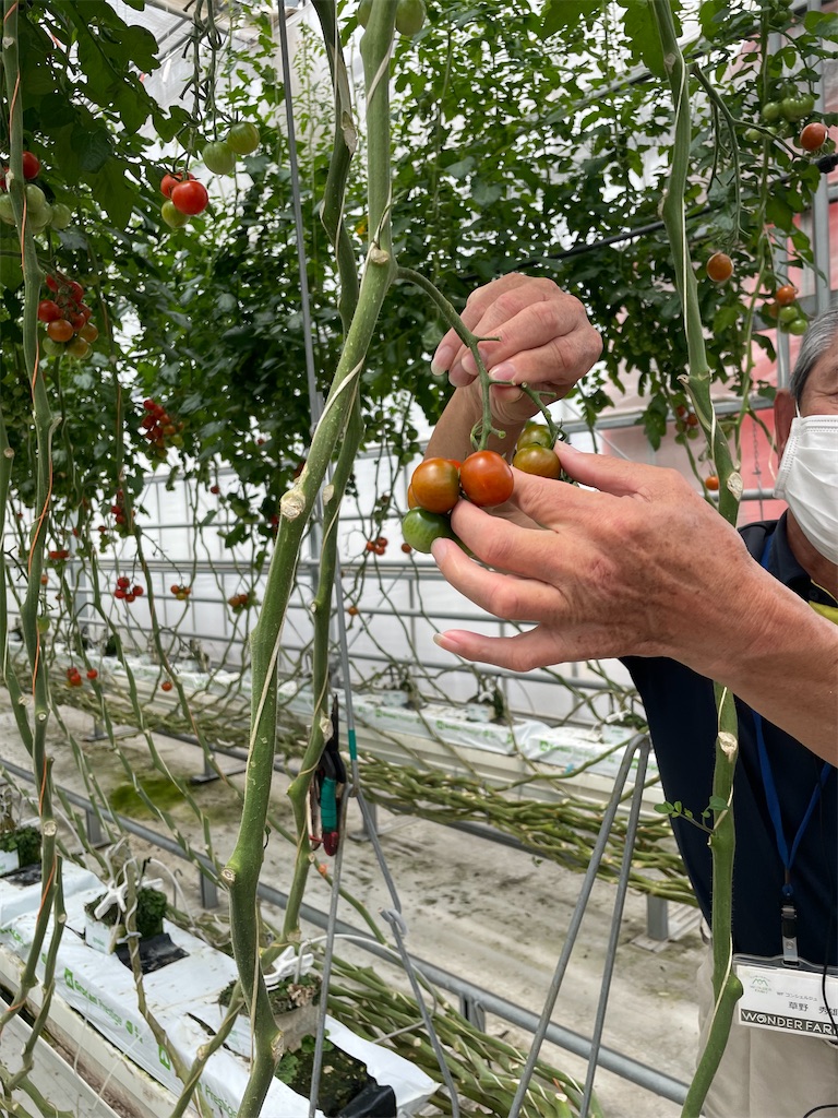 f:id:tetsuuma:20220612175333j:image