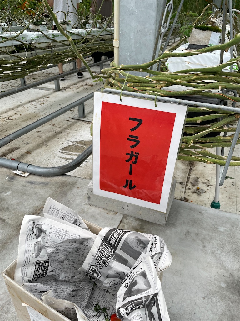 f:id:tetsuuma:20220612180131j:image