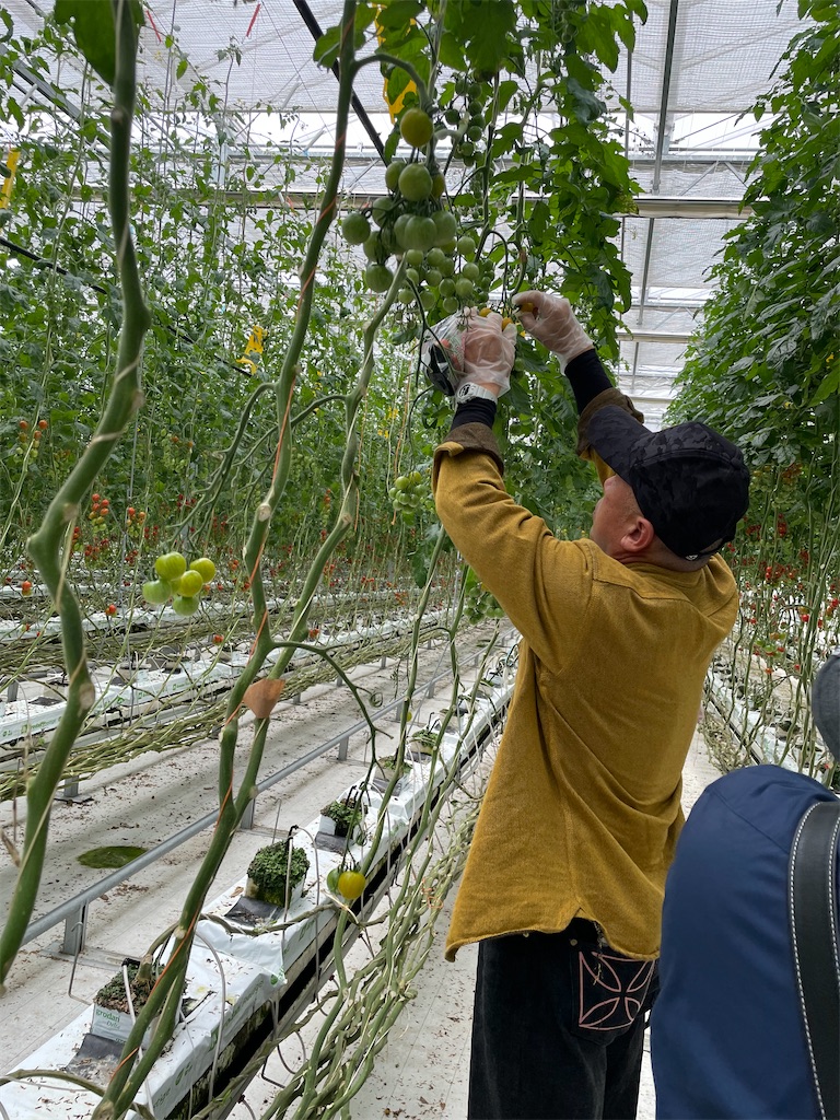 f:id:tetsuuma:20220612180313j:image