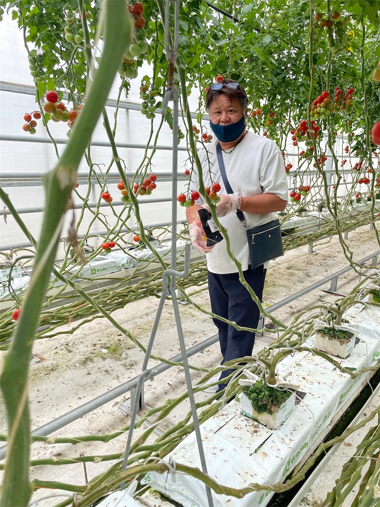 f:id:tetsuuma:20220612180317j:image