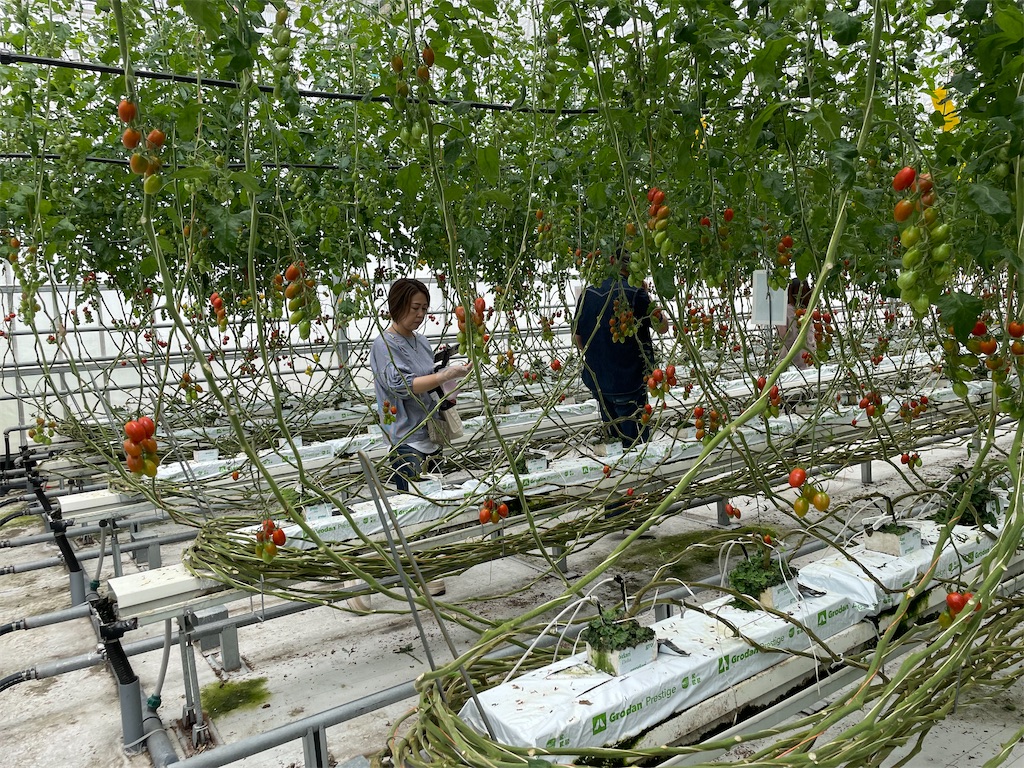 f:id:tetsuuma:20220612184001j:image