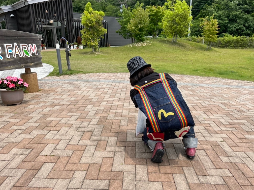 f:id:tetsuuma:20220615192229j:image