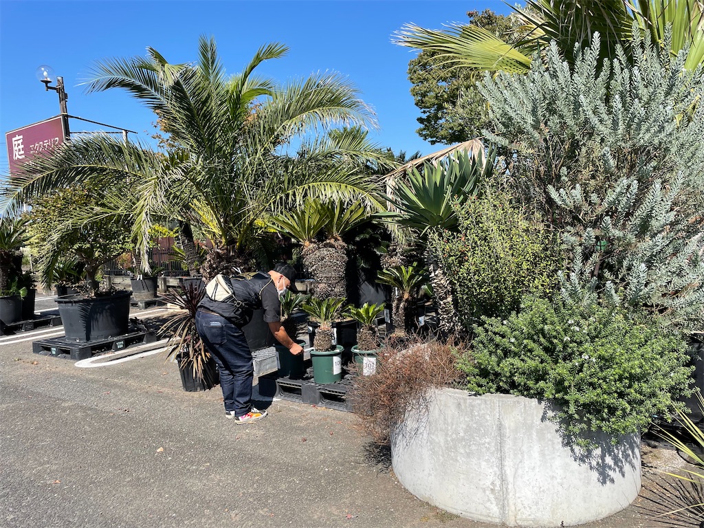 f:id:tetsuuma:20221009084932j:image f:id:tetsuuma:20221009084932j:image