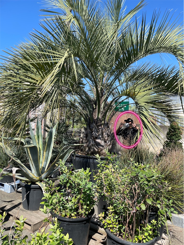 f:id:tetsuuma:20221009085825j:image f:id:tetsuuma:20221009085825j:image