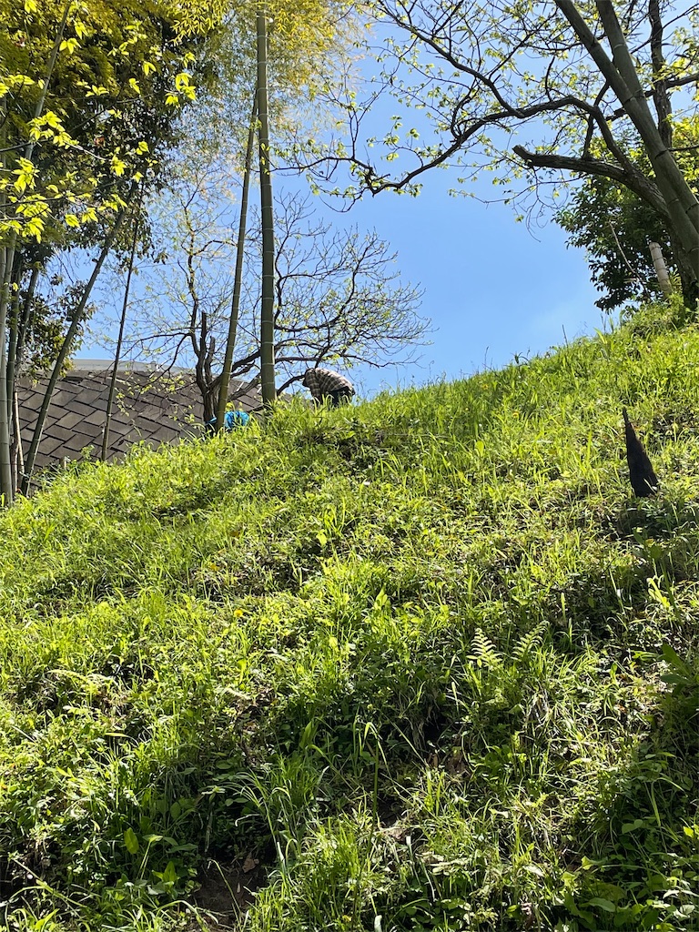 f:id:tetsuuma:20230409074720j:image f:id:tetsuuma:20230409074720j:image