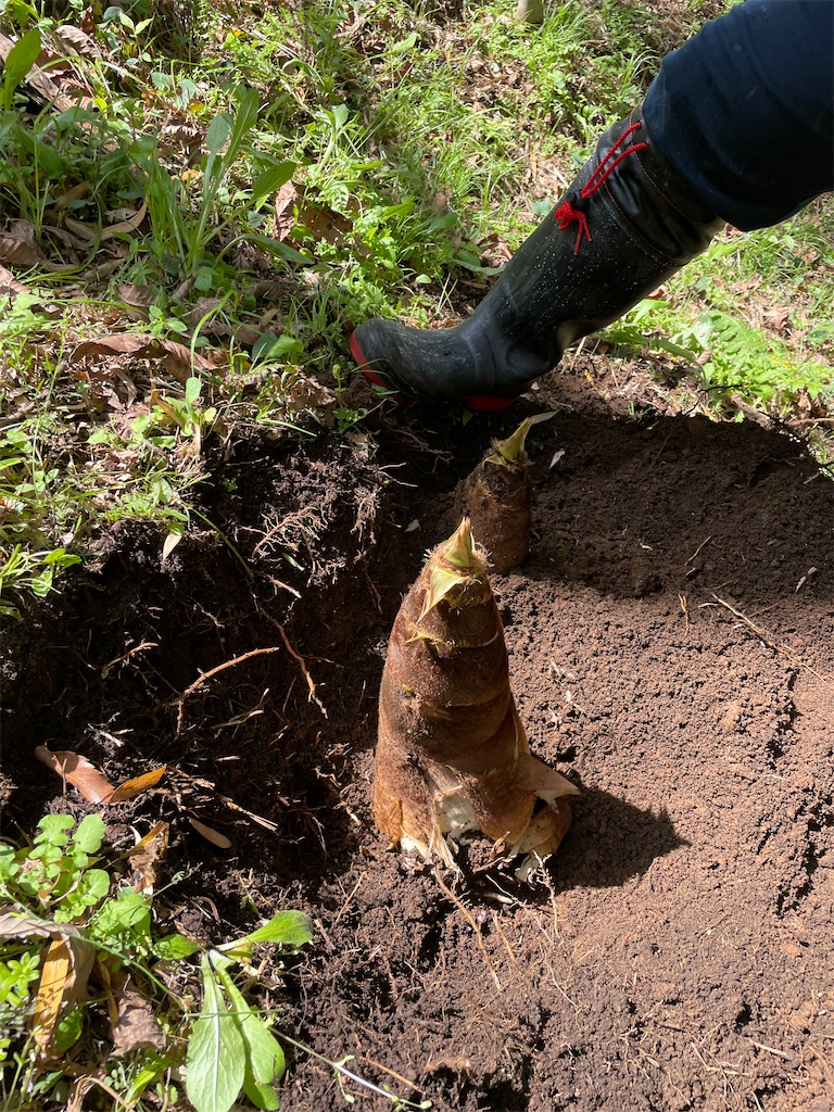 f:id:tetsuuma:20230409074927j:image f:id:tetsuuma:20230409074927j:image