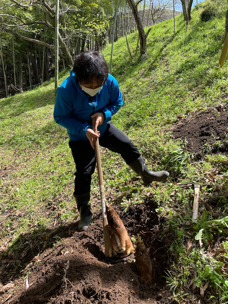 f:id:tetsuuma:20230409075125j:image f:id:tetsuuma:20230409075125j:image