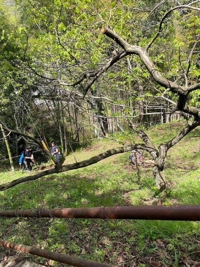 f:id:tetsuuma:20230409075230j:image f:id:tetsuuma:20230409075230j:image