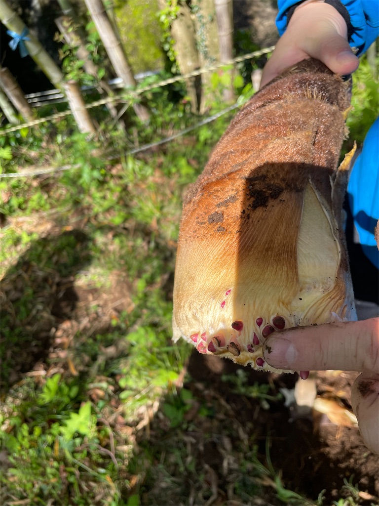 f:id:tetsuuma:20230409075606j:image f:id:tetsuuma:20230409075606j:image