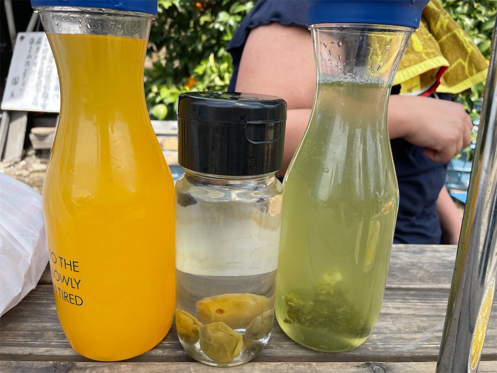 f:id:tetsuuma:20230409081752j:image f:id:tetsuuma:20230409081752j:image