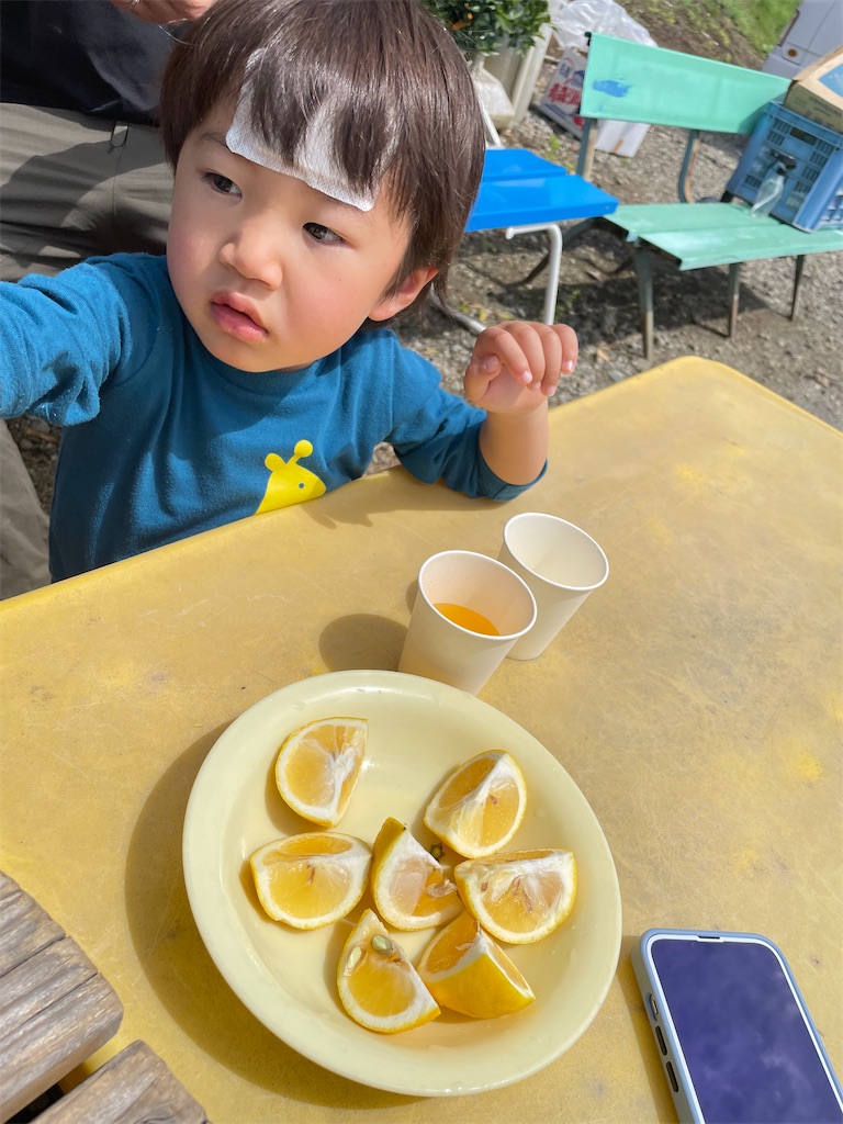 f:id:tetsuuma:20230409082021j:image f:id:tetsuuma:20230409082021j:image