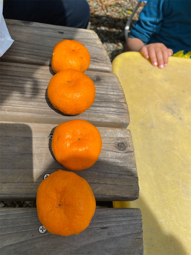 f:id:tetsuuma:20230409082037j:image f:id:tetsuuma:20230409082037j:image