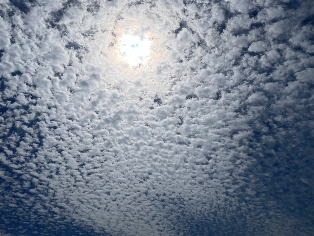 f:id:tetsuuma:20230409082757j:image f:id:tetsuuma:20230409082757j:image