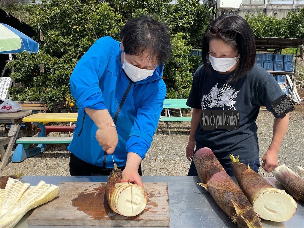 f:id:tetsuuma:20230410115303j:image f:id:tetsuuma:20230410115303j:image