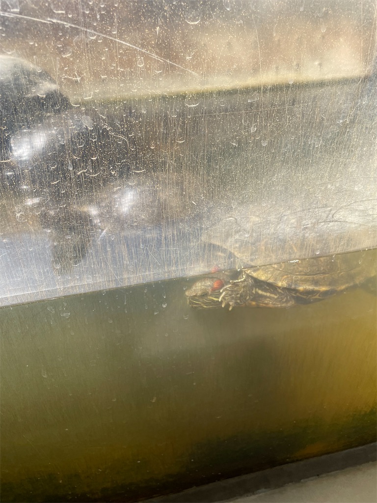 f:id:tetsuuma:20230426061112j:image f:id:tetsuuma:20230426061112j:image