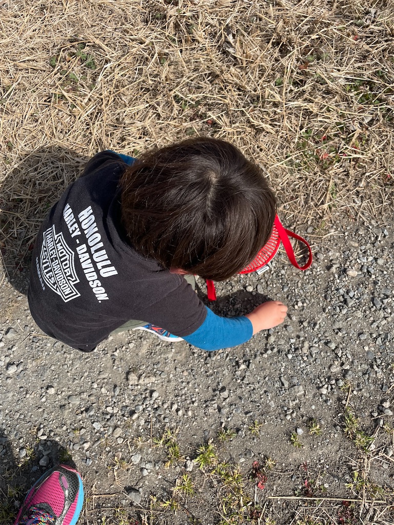 f:id:tetsuuma:20230426061817j:image f:id:tetsuuma:20230426061817j:image