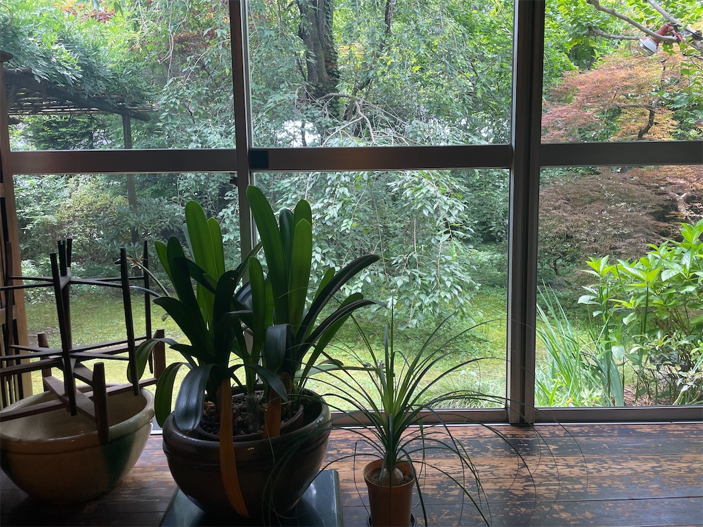 f:id:tetsuuma:20230723143009j:image