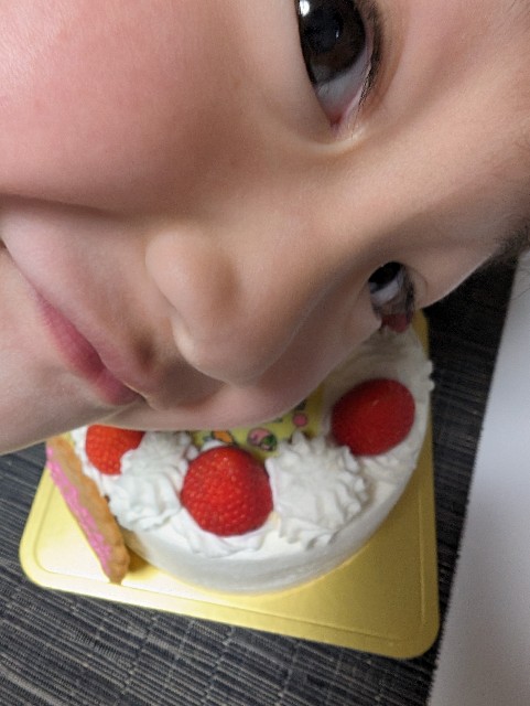 f:id:tetsuuma:20240520083124j:image