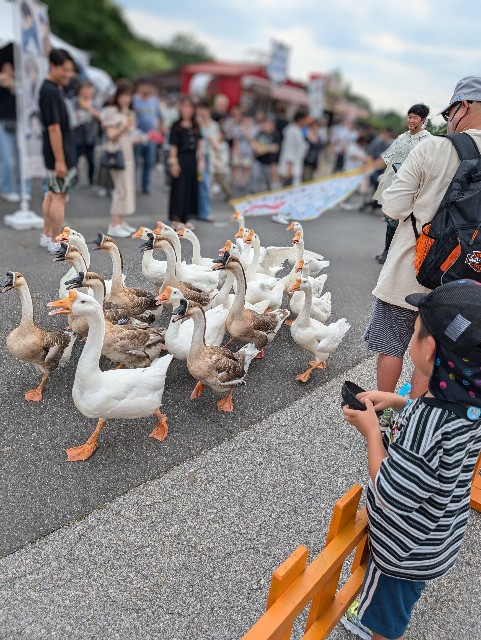 f:id:tetsuuma:20240806163836j:image f:id:tetsuuma:20240806163836j:image