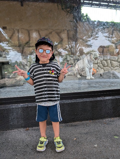 f:id:tetsuuma:20240806164306j:image f:id:tetsuuma:20240806164306j:image